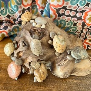 Great Lakes Stone & Fossil Turtles as Rock Turtle Pets or Plant Decor